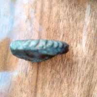 فسیل حلزون|کلکسیون اشیاء عتیقه|نگین شهر, |دیوار