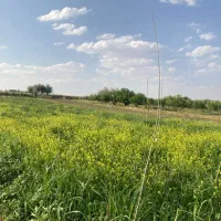 فروش باغ۲۲۰۰ متری واقع در زنجانرود(روستای قاهران)