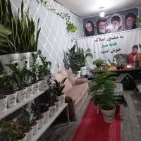 ساختمان-مسکونی-و-تجاری-شغل-تپه
