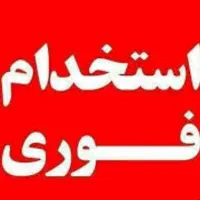 استخدام نیرو در رسته های شغلی متفاوت