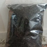 چای شمال با کیفیت و خوش طعم