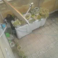 چهارپایه باغبانی بلند و میز کار