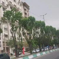 اجاره-مغازه-60متری-با-بالکن-مطهری-برق-3فاز