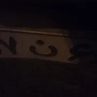 پلاک گم شده