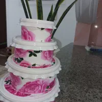 ظرفهای یخچالی|ظروف نگهدارنده، پلاستیکی، یک‌بارمصرف|نقده, |دیوار