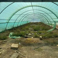 فوری/زیر قیمت کارشناسی به فروش میرسد/فوری|فروش دفتر صنعتی، کشاورزی، تجاری|ابهر, |دیوار