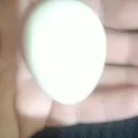 تخم مرغ محلی