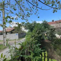 ویلا دو نبش تجاری باانشعابات /چاف وچمخاله|فروش دفتر صنعتی، کشاورزی، تجاری|چاف و چمخاله, |دیوار