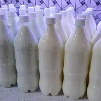 دوغ پرچرب گوسفندی