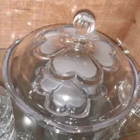 ظروف پذیرایی نونو