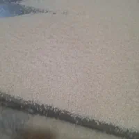 برنج چمپا باغملک