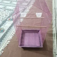قفس بزرگ و تمییز قیمت عالی|لوازم جانبی حیوانات|قم, صفاشهر|دیوار