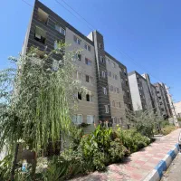 ۸۰ متر ماموت تخلیه