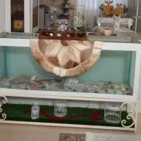 اکواریوم