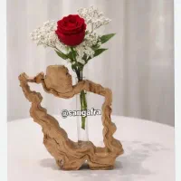 گلجاایران بیس و رنگ شده