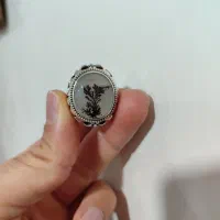 ۲ عدد انگشتر شجر کلکسیونی