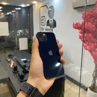 13normal