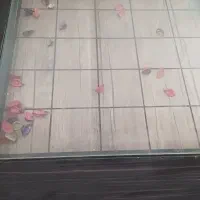 جلو مبلی ۵ تیکه|مبلمان خانگی و میز عسلی|تربت جام, امام|دیوار