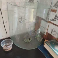 آکواریوم|ماهی|رشت, چمارسرا|دیوار