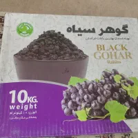 مویز بدون هسته افغان