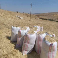 کاه گندم دیمی