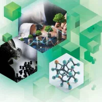 استخدام نیروی کار