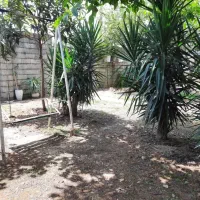 اجاره ویلا استخر باغ ویلا آلاچیق تاب خانواده|اجارهٔ کوتاهمدت ویلا و باغ|ماسال, |دیوار