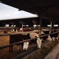 حسابدار و انبار دار