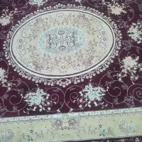 فرش|فرش|تربتحیدریه, رضاشهر|دیوار