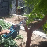 باغبانی و فضای سبز بومهن رودهن پردیس|خدمات باغبانی و درختکاری|رودهن, |دیوار