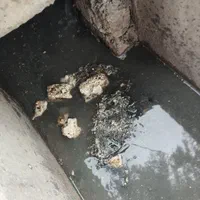 لوله بازکنی پیام*خالوندی*|خدمات پیشه و مهارت|کوهدشت, |دیوار