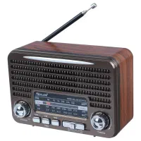 رادیو اسپیکر بلوتوثی خورشیدی گولون مدل نوستالژی|پخش‌کننده همراه|تهران, گمرک|دیوار