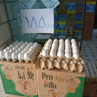 فروش تخم مرغ به قیمت عمده شانه ای165|عمدهفروشی|هشتگرد, شهرک ولیعصر (مصلی)|دیوار