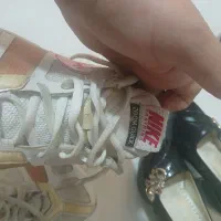 کفش زنانه ومردانه|کیف، کفش، کمربند|پرند, فاز ۱|دیوار