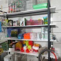 واگذاری لوازم مغازه پرنده فروشی