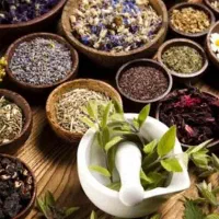 نیازمند نیروی اقا