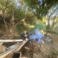 ۴۰۰ مترخونه باغ کهک شاه ابراهیم|فروش خانه و ویلا|کهک, |دیوار