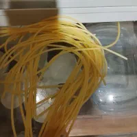 لوازم ضروری پرنده همه چیز موجوده حتی اسباببازی|لوازم جانبی حیوانات|مشهد, دانشجو|دیوار