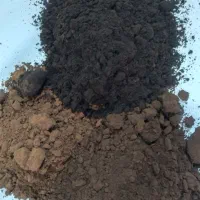 پودر هسته خرمای تفت شده در سه رنگ(روشن-متوسط-تیره)