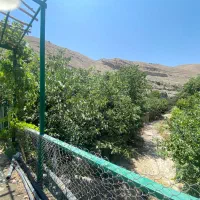 باغ-1000-متری-سند-دار-حوالی-سولقان