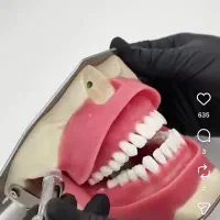 آموزش دندانپزشکی