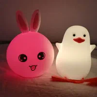 شب خواب سیلیکونی