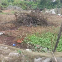 ۲۰۰متر زمین با پروانه ساخت ویو دار