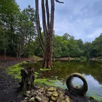 تور مرداب وربن تا هسل|تور و چارتر|تهران, آرژانتین|دیوار