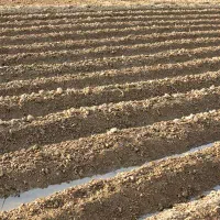 فروش-زمین-1000-متری