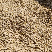 دان مرغ تخمگذار و گوشتی و جوجه و بلدرچین|لوازم جانبی حیوانات|شیراز, لب آب|دیوار