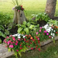 شهرک چمرا- ماهشهر