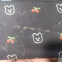 مدارک گمشده سوگل صفری