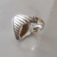 شجر بریزیلی سوزنی|جواهرات|ملایر, |دیوار