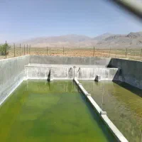 ۴۲هکتار باغ و زمین کشاورزی|فروش دفتر صنعتی، کشاورزی، تجاری|شاهین‌شهر, شهرک مطهری|دیوار